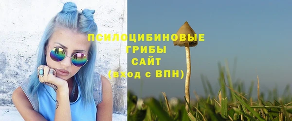 мет Вяземский