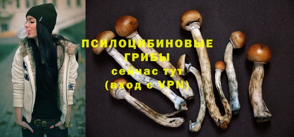 mdpv Вязьма